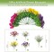 Artificial Flowers Fake Plants for Outdoors Decoration, 12 Bundles Silk Morning Glory with 2PCS Lavender Realistic UV Resistant Faux Spring Flowers for Outside Planter Yard Patio Garden Home Indoor